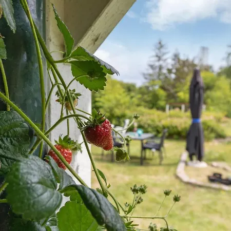 Neena - 2km From The Sea In Bornholm